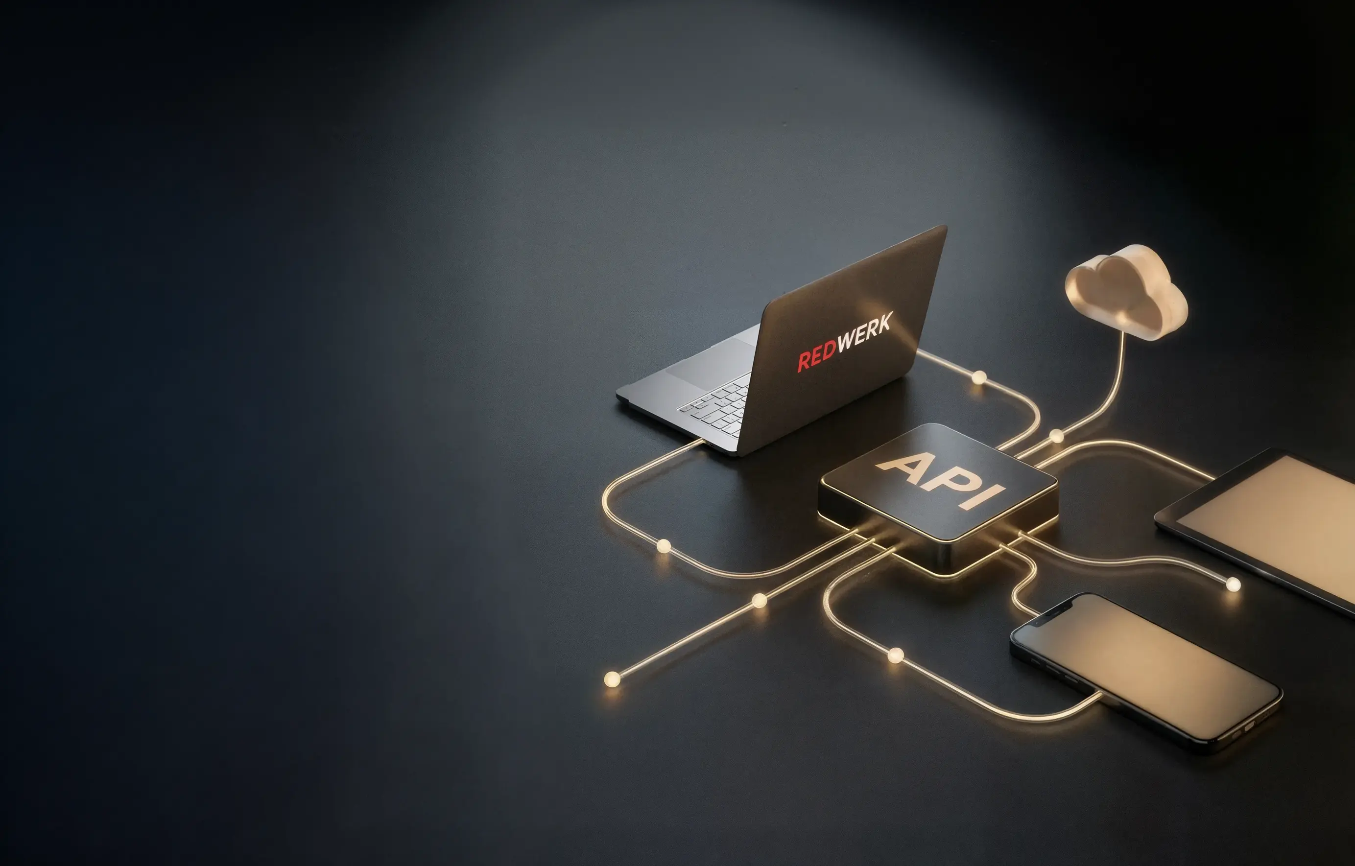 Servicios de desarrollo de API para una personalización máxima | Redwerk